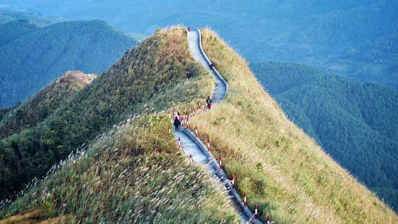 Sở hữu vị trí vô cùng đặc biệt