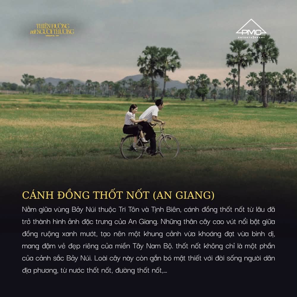 Cánh đồng thốt nốt (An Giang)