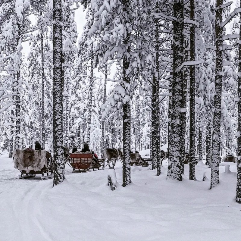 Rovaniemi anh 8