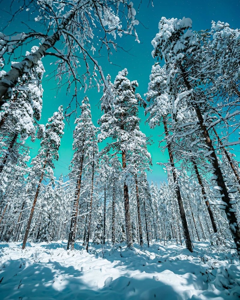 Rovaniemi anh 7