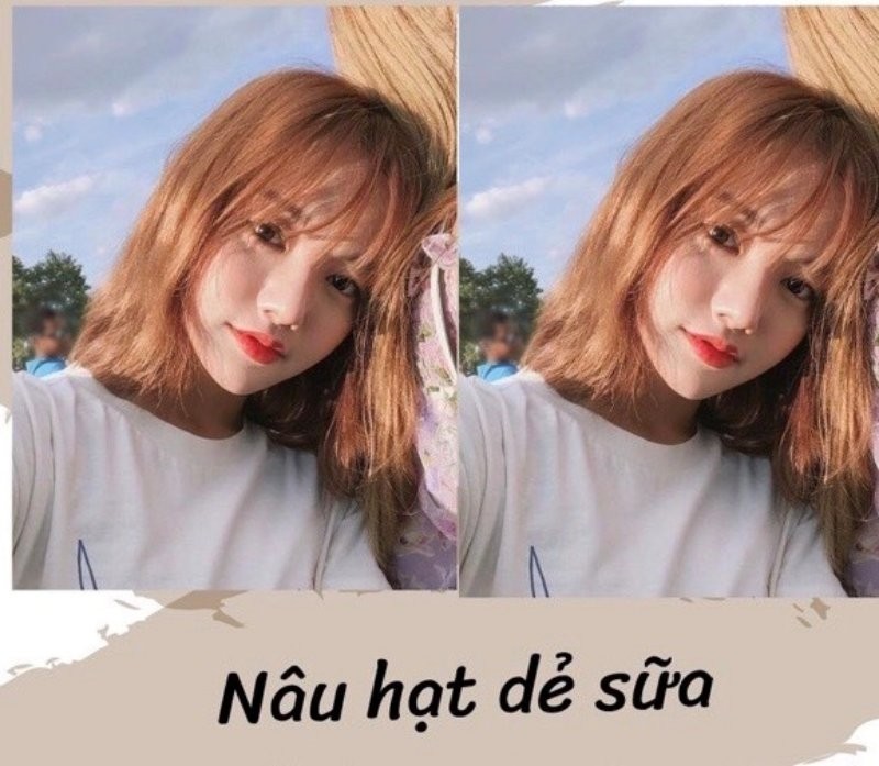 Màu nâu hạt dẻ sữa cho bạn thêm phần ngọt ngào