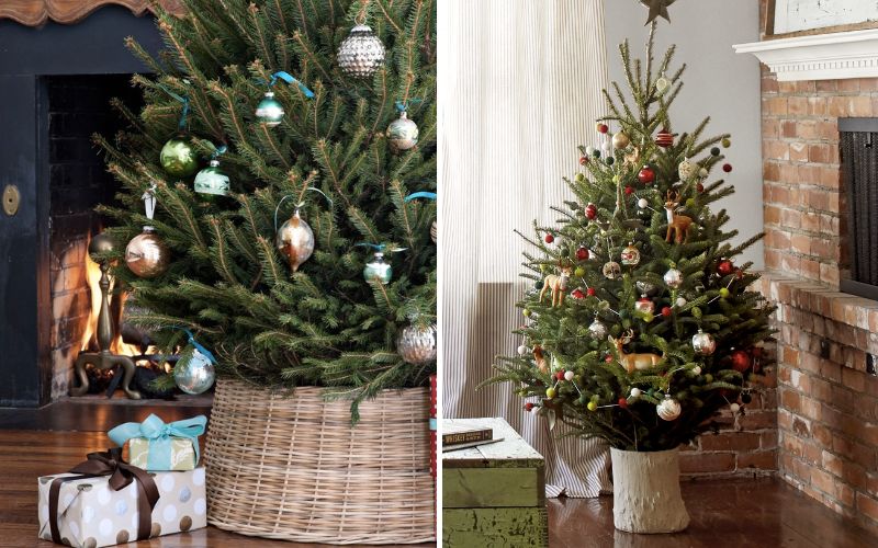 Học Cách Cắm Cành Thông Tươi Đẹp Độc, Bắt Trend Noel