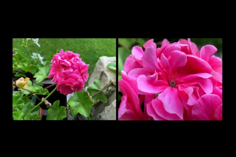 iphone 13 pro max macro huong dan su dung didongviet 5