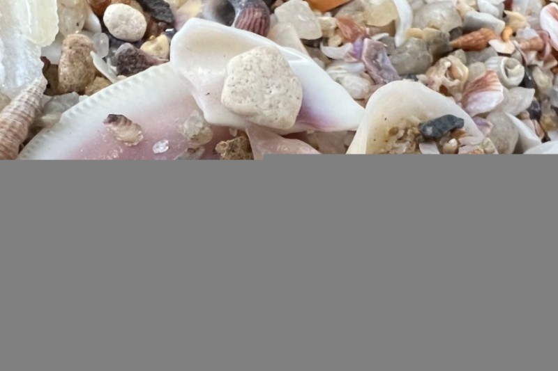 iphone 13 pro max macro anh chup mau didongviet 1