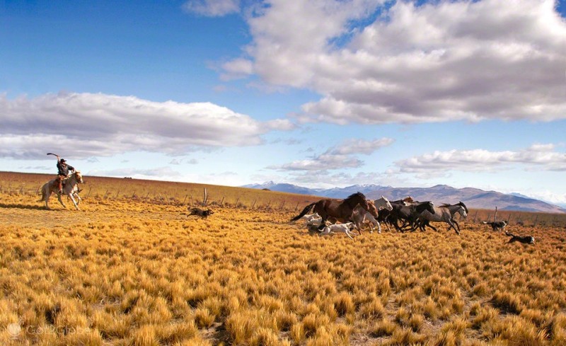 Argentina anh 2