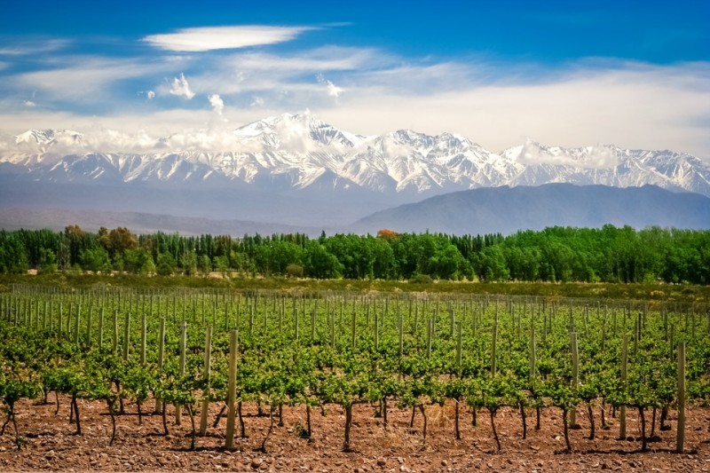 Argentina anh 7