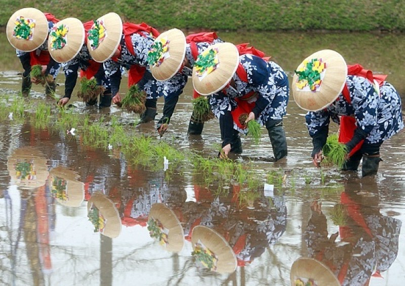 lễ hội nhật bản