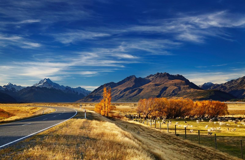 giải đắp thắc mắc new zealand là nước nào