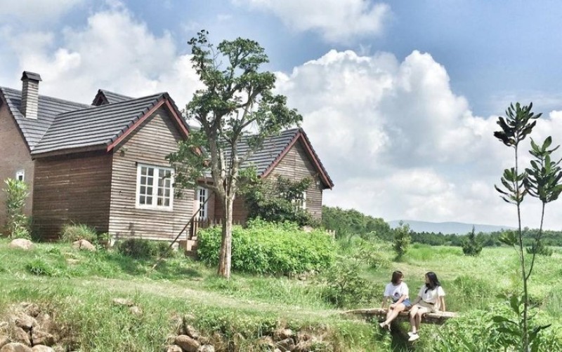 chup hinh mien phi tai da lat milk farm