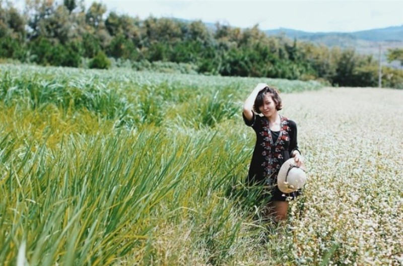 Chup Hinh Free O Dalat Milk Farm