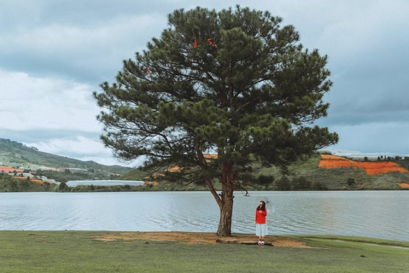 Chup Hinh Free O Ho Suoi Vang Da Lat