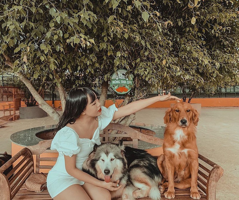 Những góc check-in lạ mắt thu hút giới trẻ ở Đà Lạt