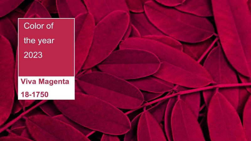 Màu Viva Magenta là một tông màu đỏ có sắc thái, mang ý nghĩa dũng cảm, khao khát sống