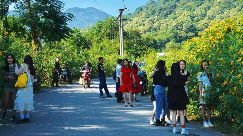 Rất đông du khách đến tham quan và chụp ảnh