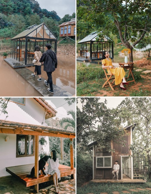 Sống Ảo Với Homestay Đà Lạt View Đẹp