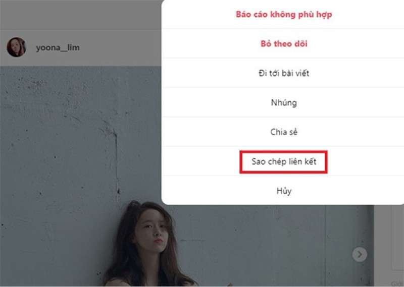 Sử dụng trang web hỗ trợ để tải ảnh từ Instagram về máy tính
